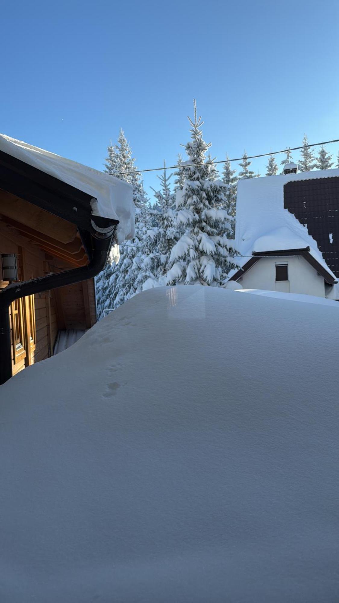 Guest House Alpha Ski Camp Jahorina Exteriör bild